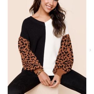 Francesca’s Lisa Animal Print Colorblock Pullover Sweater